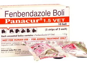 PANACUR 1.5GM BOLUS- INTERVET