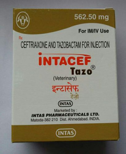 Intacef Tazo 562.5mg injection - Intas Pharmaceuticals Ltd - NetForHealth